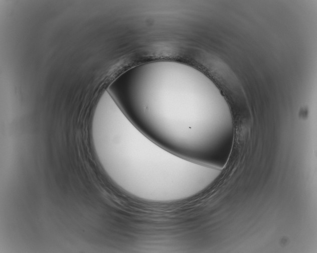 X0000097900264200803141013