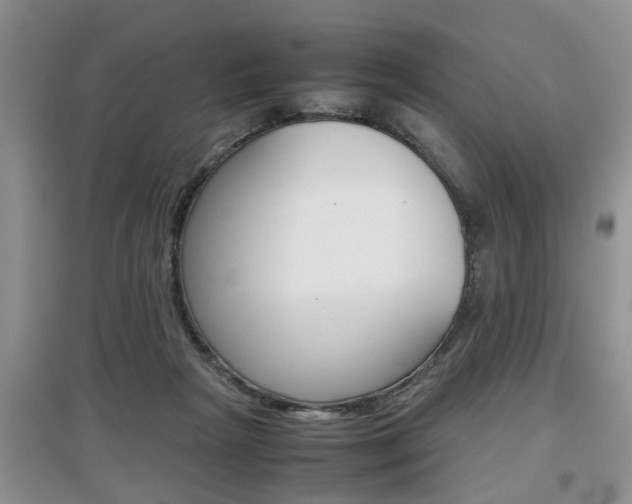 X0000097900265200803141013