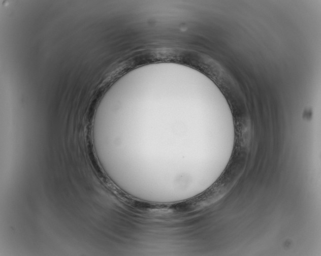 X0000097900266200803141013