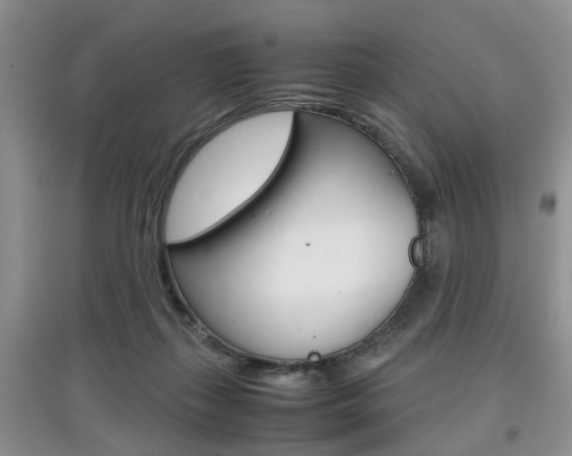 X0000097900267200803141013