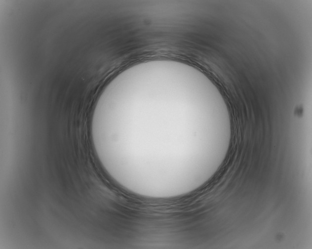 X0000097900268200803141013