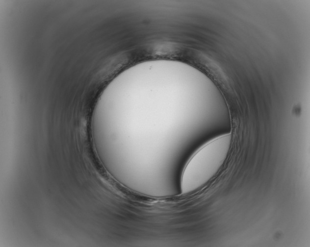 X0000097900269200803141013