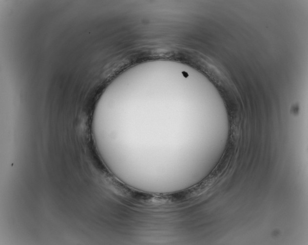 X0000097900270200803141013