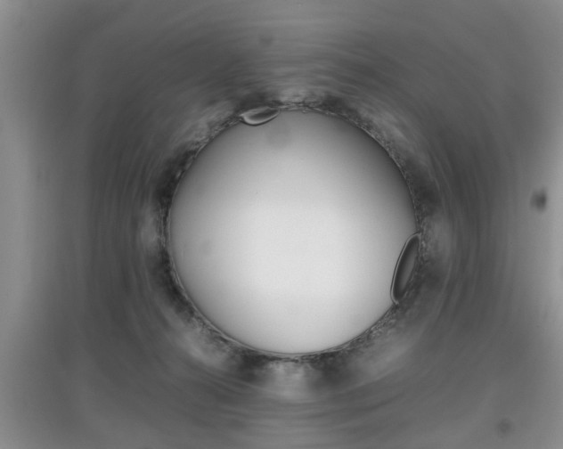 X0000097900272200803141013