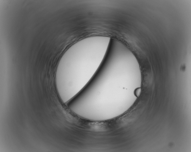 X0000097900273200803141013