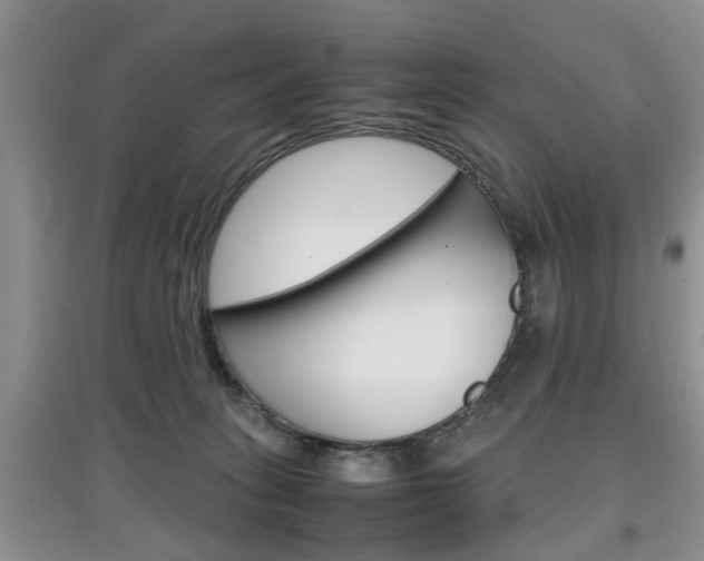 X0000097900275200803141013