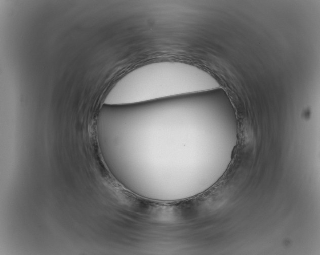 X0000097900276200803141013