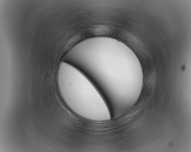 X0000097900277200803141013