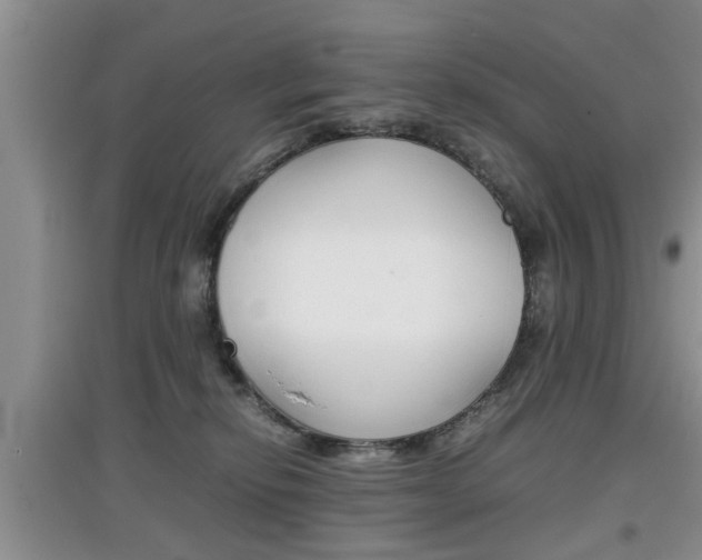 X0000097900278200803141013