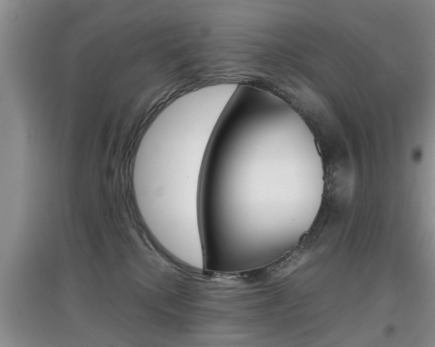 X0000097900280200803141013