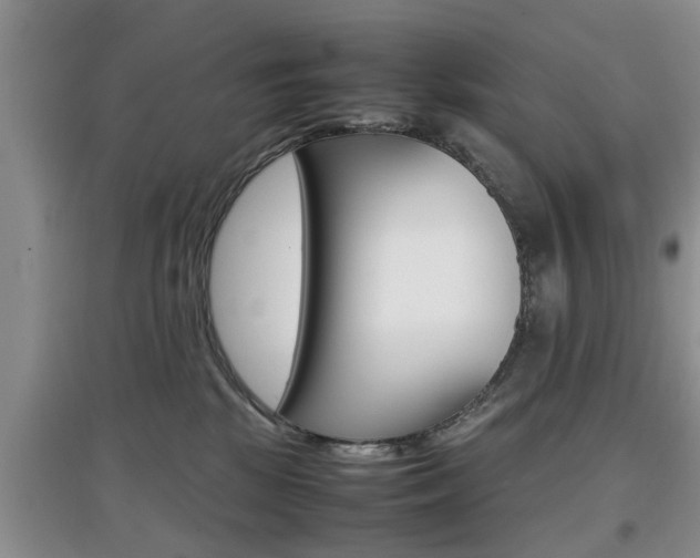X0000097900281200803141013