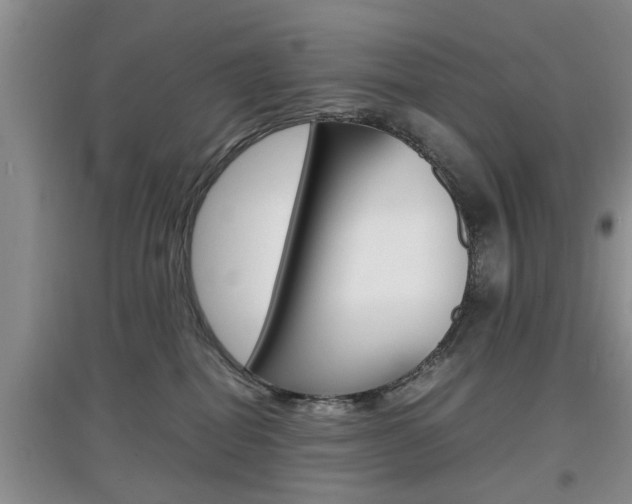 X0000097900282200803141013