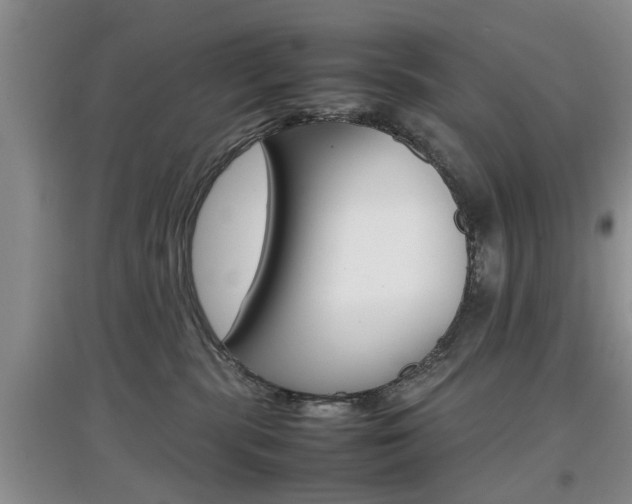 X0000097900283200803141013