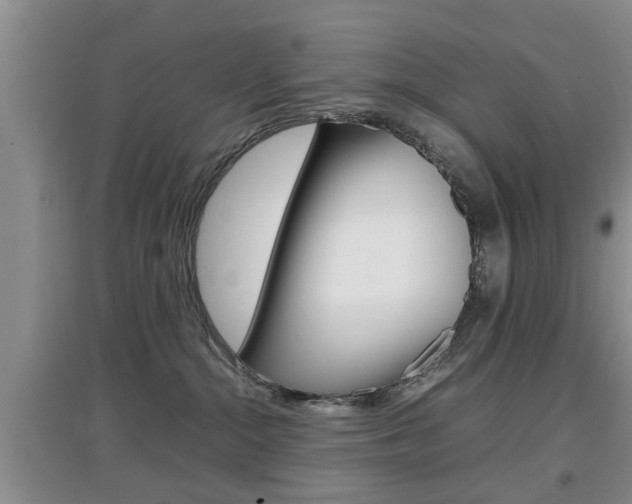 X0000097900284200803141013