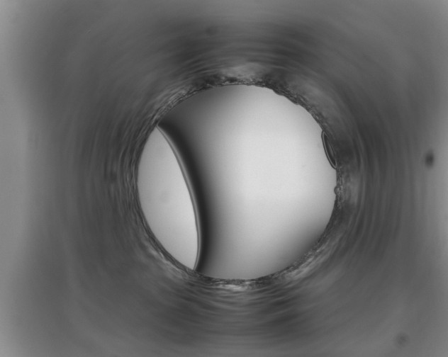 X0000097900285200803141013