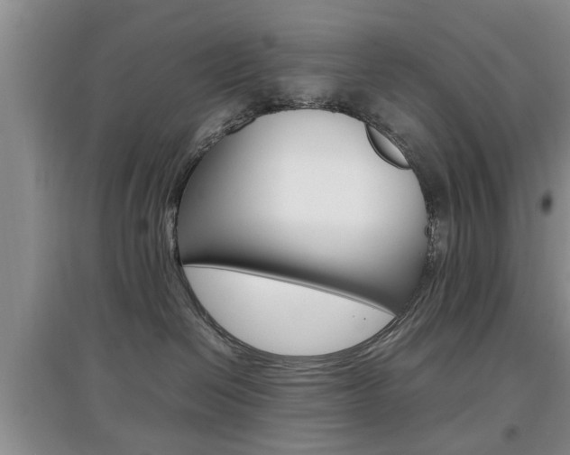 X0000097900286200803141013