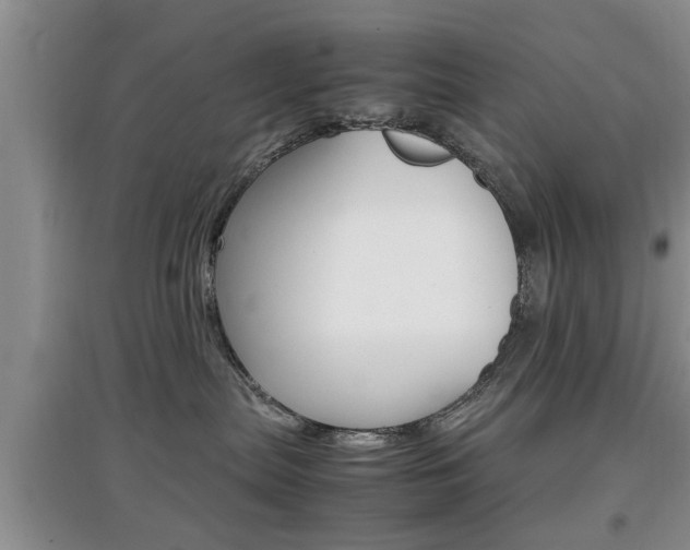 X0000097900287200803141013