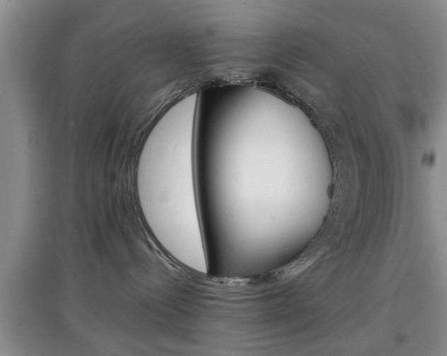 X0000097900288200803141013