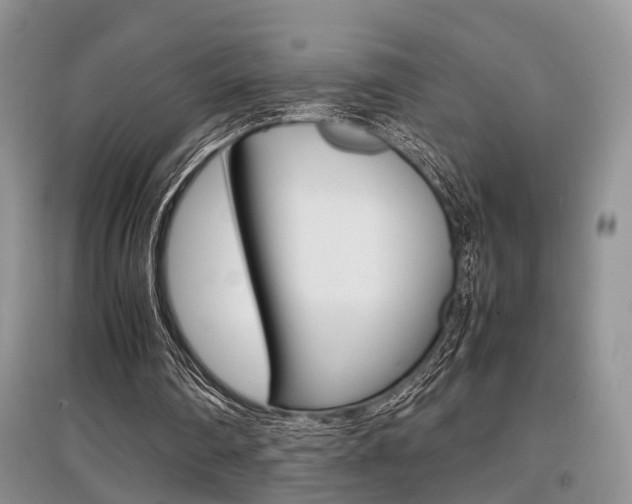 X0000097900290200803141013