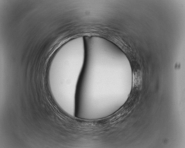 X0000097900291200803141013