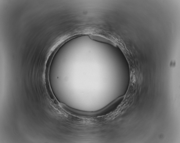 X0000097900292200803141013