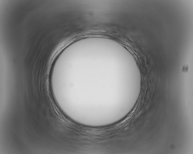 X0000097900293200803141012