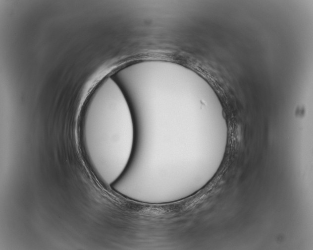 X0000097900294200803141012