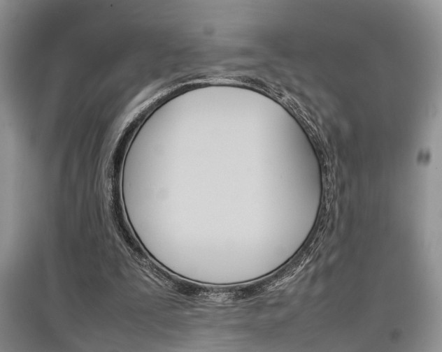 X0000097900295200803141012