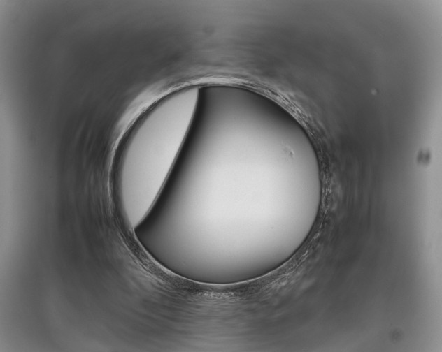 X0000097900296200803141012