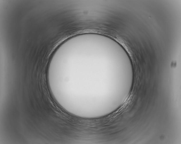 X0000097900297200803141012