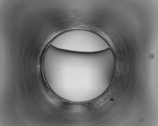 X0000097900298200803141012