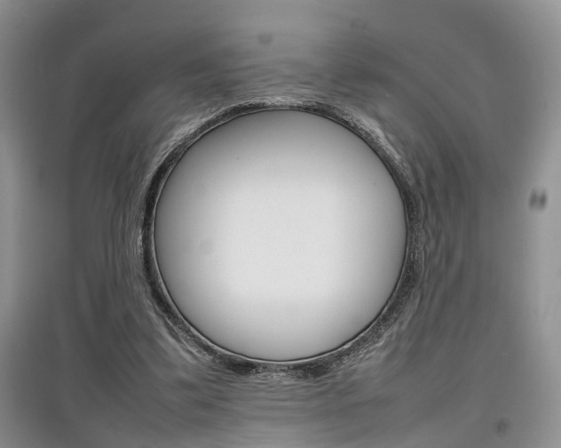 X0000097900299200803141012