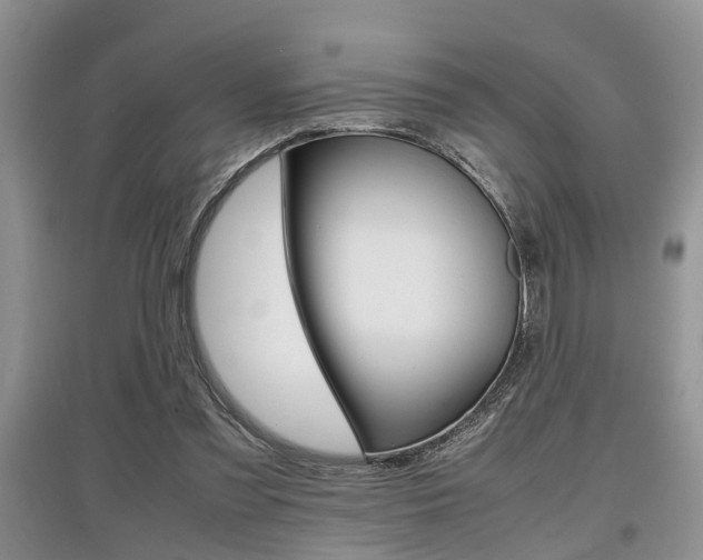 X0000097900301200803141012
