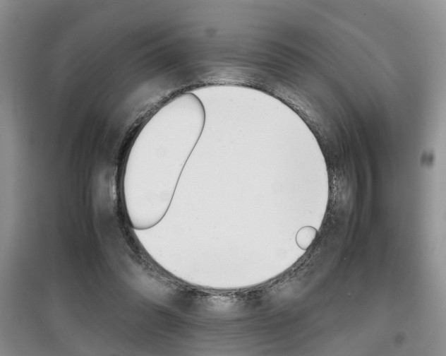 X0000097900302200803141012