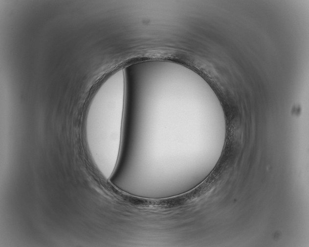X0000097900303200803141012
