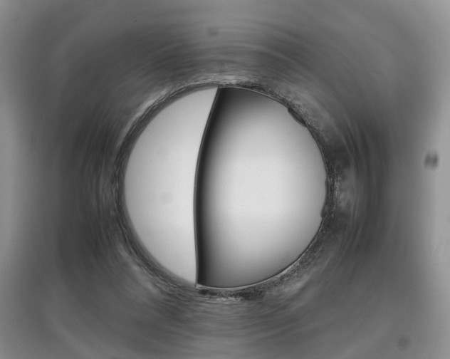 X0000097900304200803141012