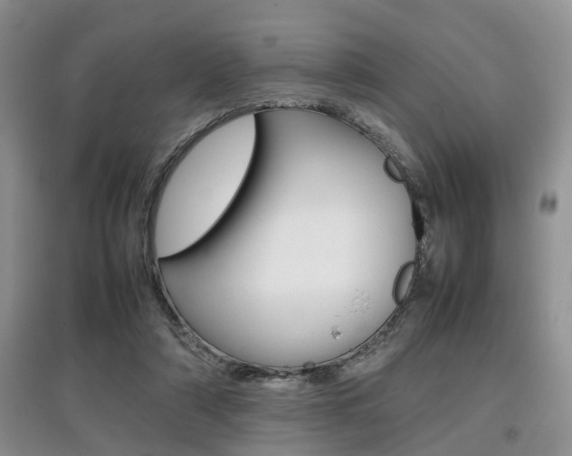 X0000097900306200803141012