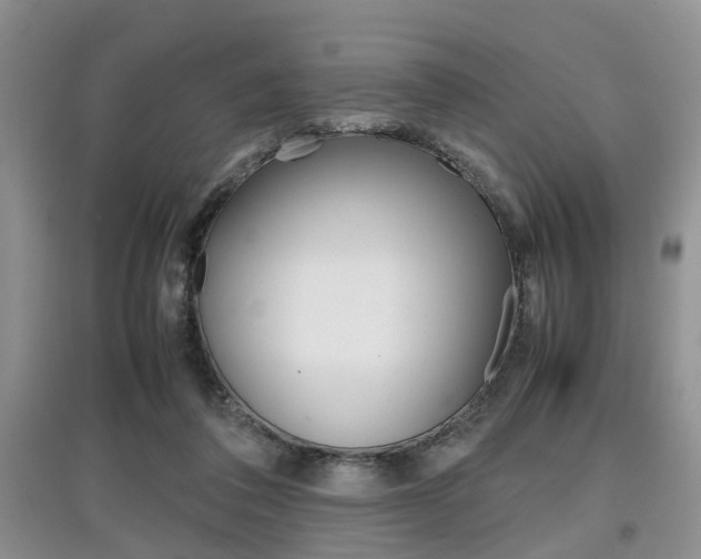 X0000097900308200803141012