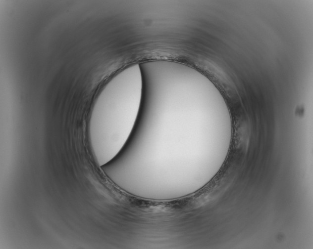 X0000097900310200803141012