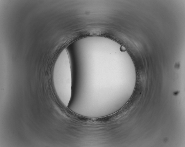 X0000097900311200803141012