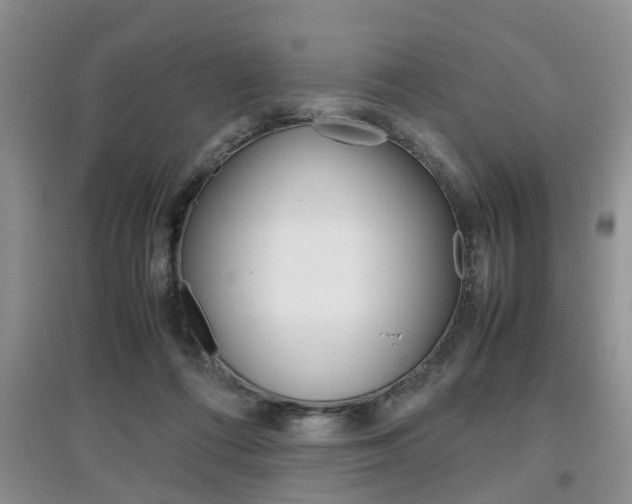 X0000097900312200803141012