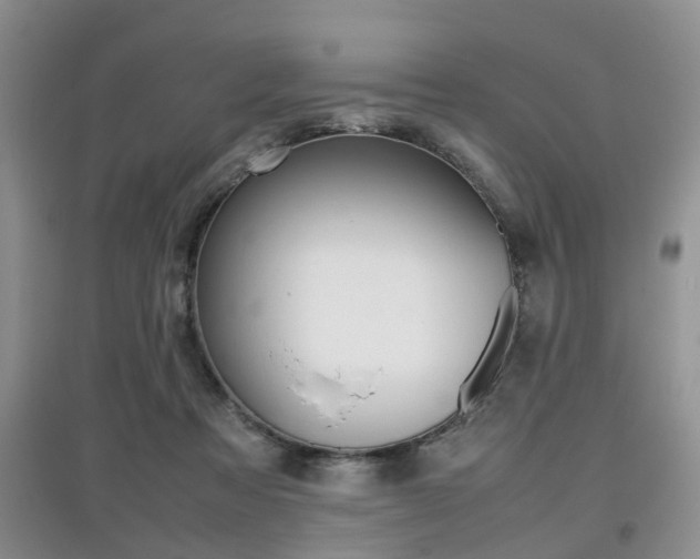 X0000097900313200803141012