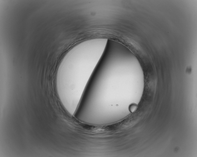 X0000097900315200803141012