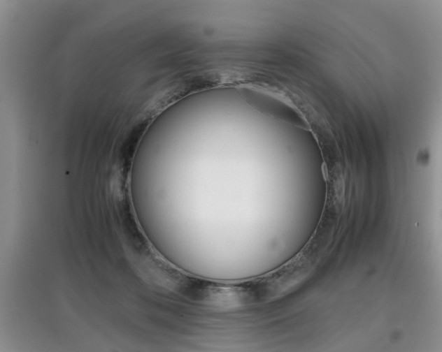 X0000097900316200803141012