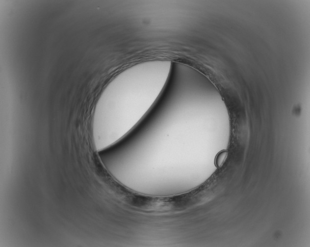X0000097900319200803141012