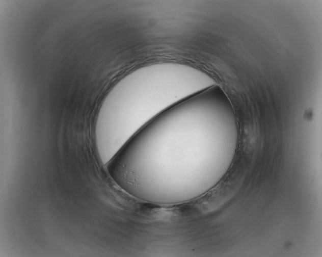 X0000097900320200803141012
