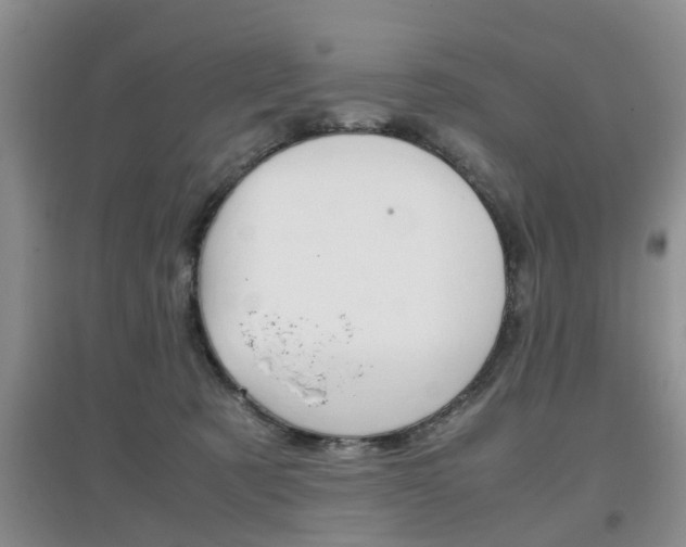 X0000097900321200803141012
