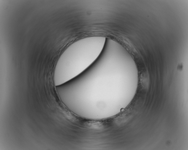 X0000097900322200803141012