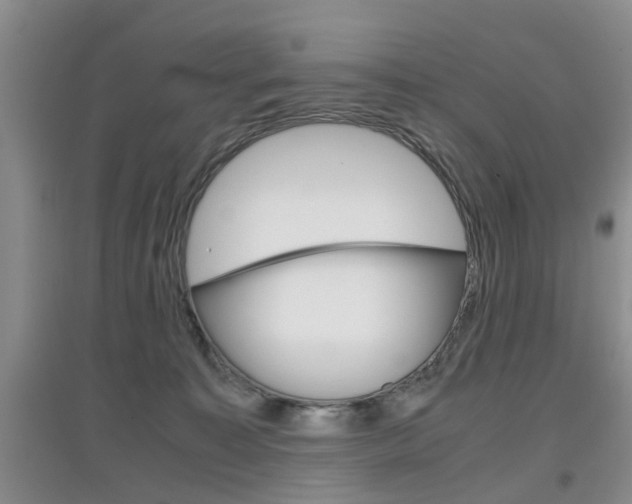 X0000097900323200803141012