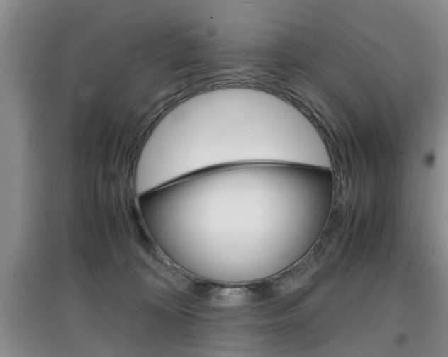 X0000097900324200803141012